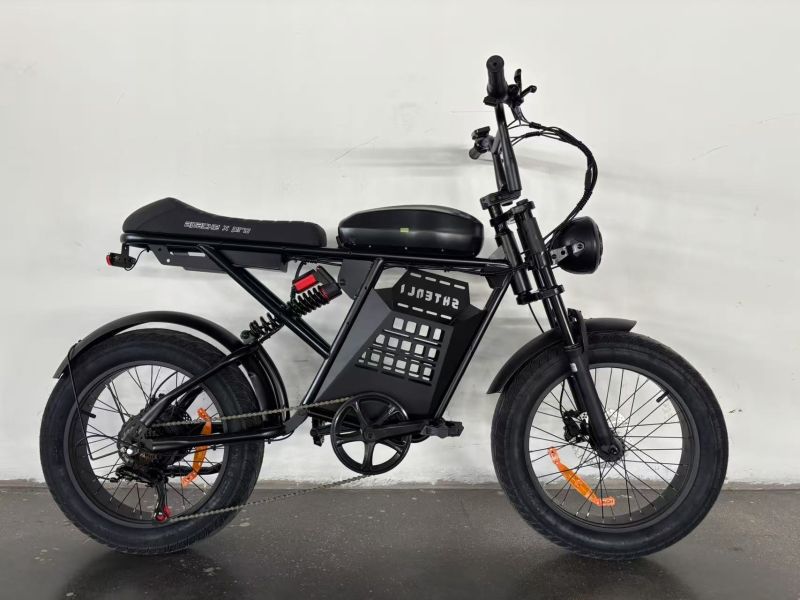 Купить Электровелосипед Shtenli Apache X PRO в Славгороде и районе