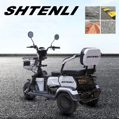 Электрический трицикл SHTENLI Model 31 SLA