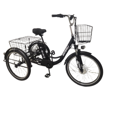 Трехколесный электровелосипед Shtenli Trike 31